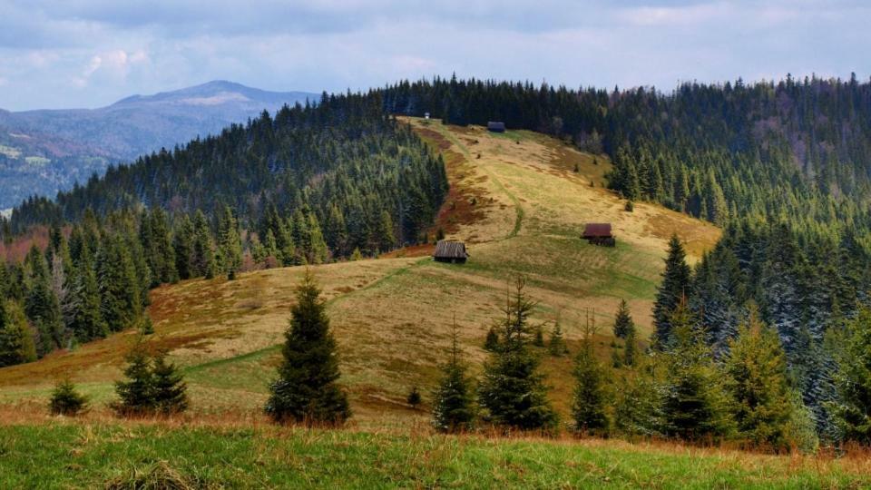Wasielówka Poręba Wielka Exterior foto